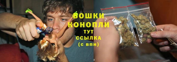 прущие грибы Абаза