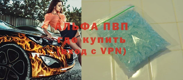 прущие грибы Абаза