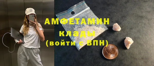прущие грибы Абаза