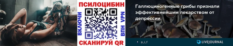 Псилоцибиновые грибы GOLDEN TEACHER  omg ссылки  Никольск 