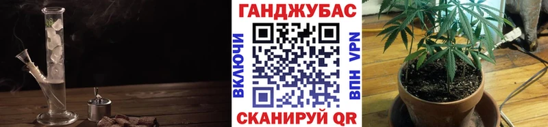 Канабис конопля  Никольск 
